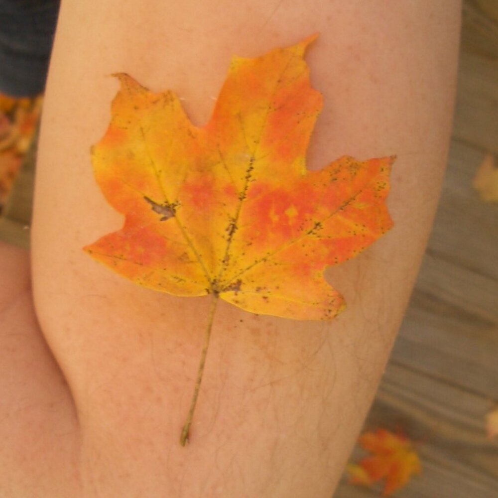 Meet your Posher, Jay.